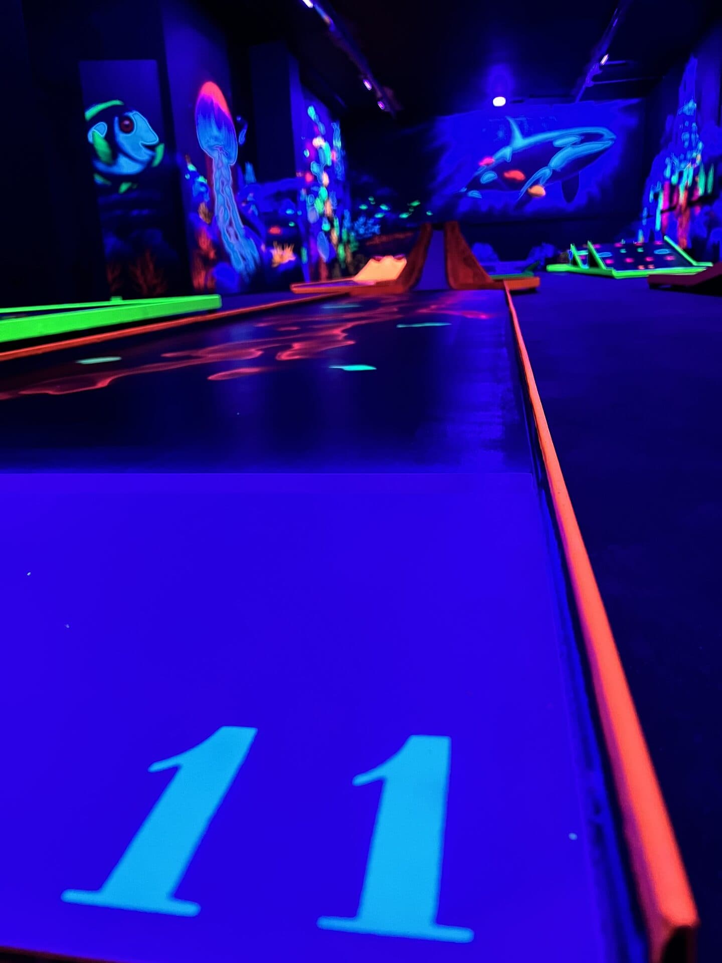 Neon Golf Bahn mit Schwarzlicht-Beleuchtung in Bautzen